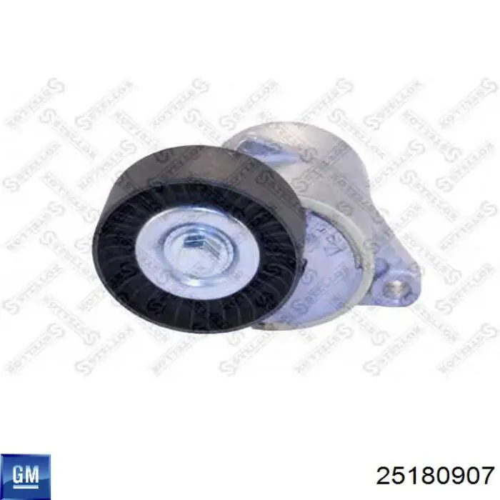 Rodillo guia General Motors 25180907