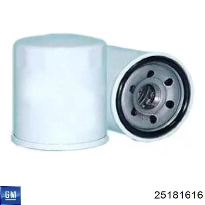 Filtro de aceite General Motors 25181616 precio, desde 3,91 EUR