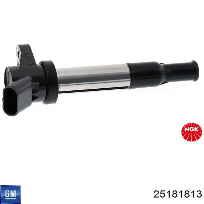 Comprar 25181813 General Motors Bobina