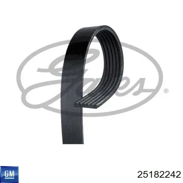 Correa de transmisión trapezoidal General Motors 25182242 precio, desde 42,35 EUR