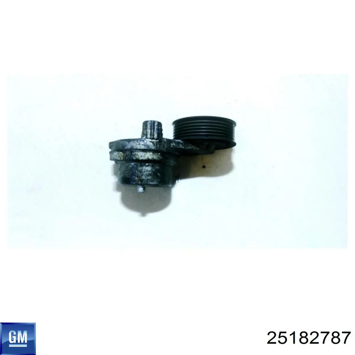 Tensor de correa poli V 25182787 General Motors