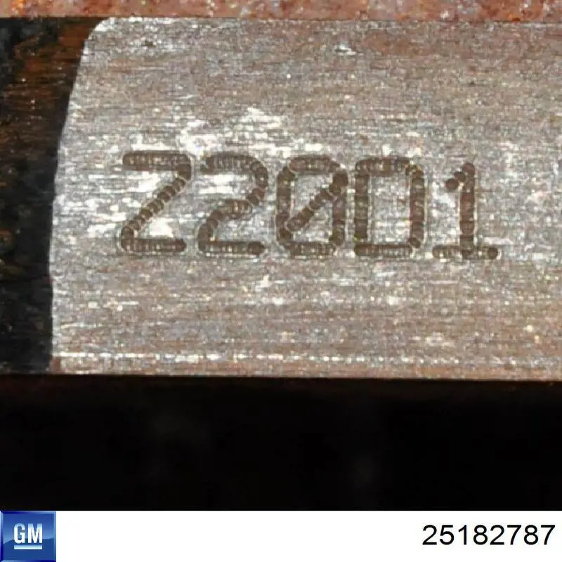 Tensor de la correa trapecial General Motors 25182787 precio, desde 39,45 EUR