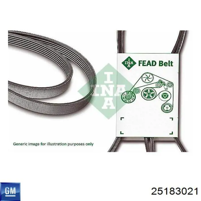 Comprar 25183021 General Motors Correa trapezoidal