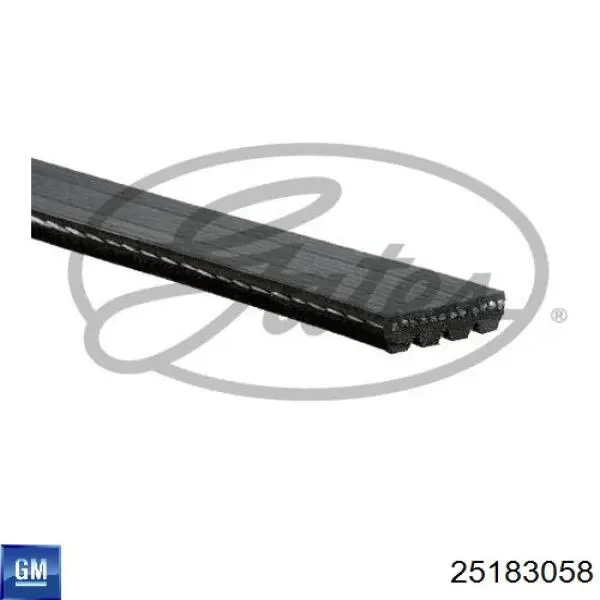 Comprar 25183058 General Motors Correa trapezoidal