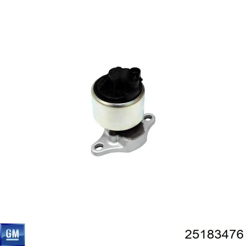 Válvula de regulación de gases General Motors 25183476 precio, desde 49,37 EUR