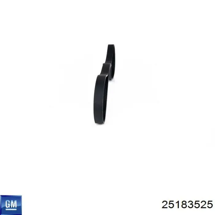 Comprar 25183525 General Motors Correa trapezoidal