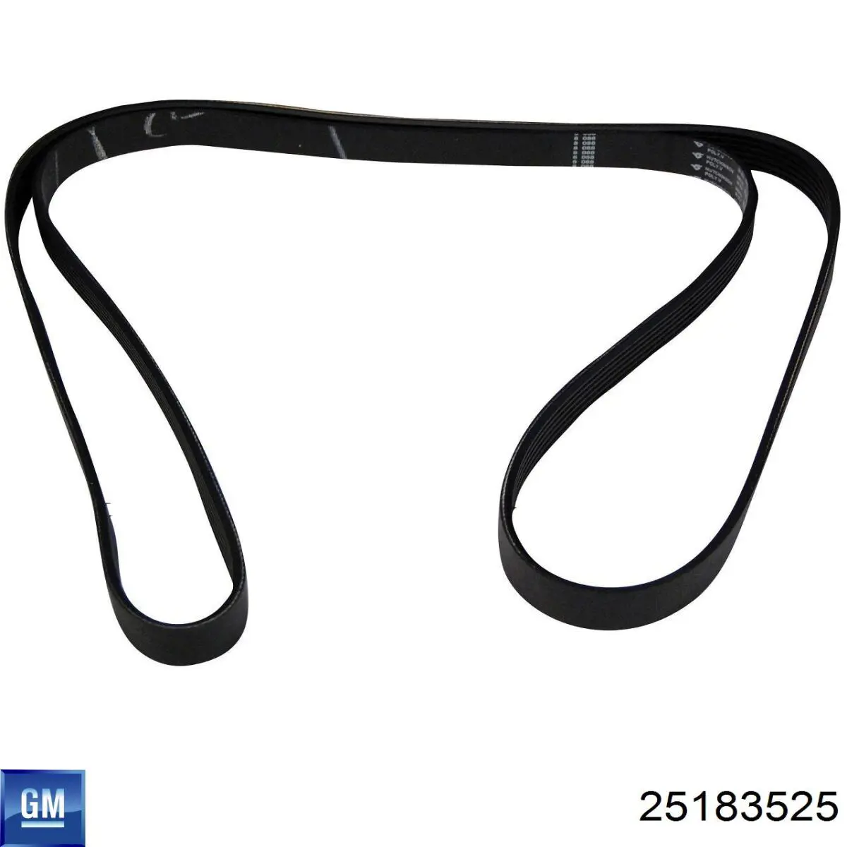 Correa de alternador 25183525 General Motors