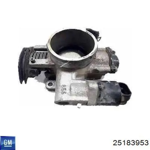 Cuerpo de aceleración completo General Motors 25183953 precio, desde 69,70 EUR