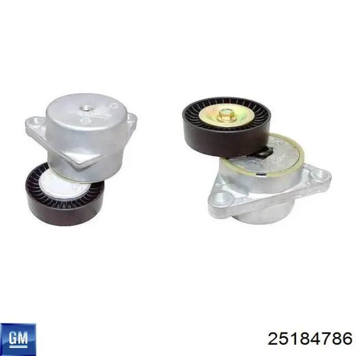 Tensor de correa poli V 25184786 General Motors