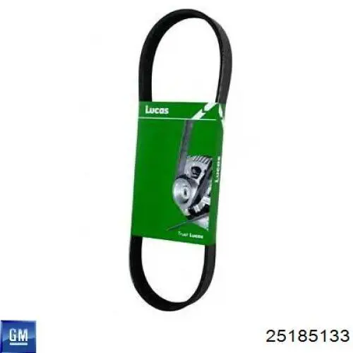 Correa de transmisión trapezoidal General Motors 25185133 precio, desde 24,38 EUR