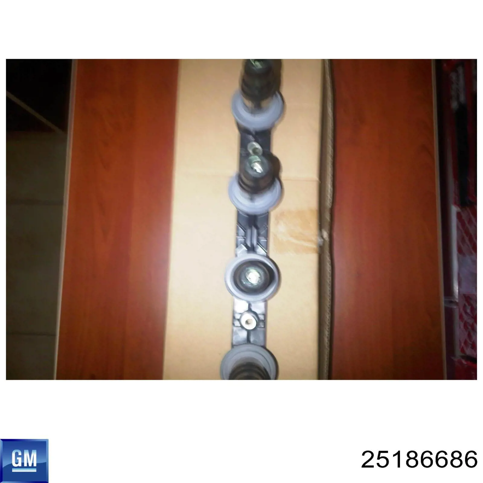 Bobina 25186686 General Motors