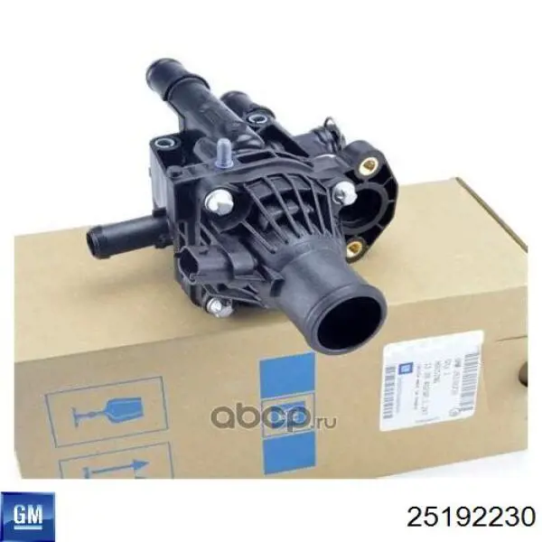 Comprar 25192230 General Motors Caja de termostato