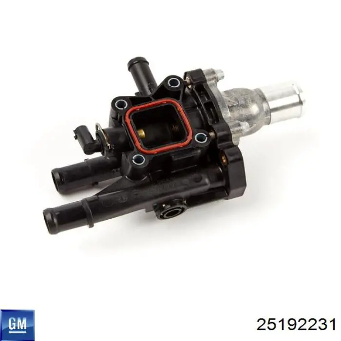 Comprar 25192231 General Motors Caja de termostato