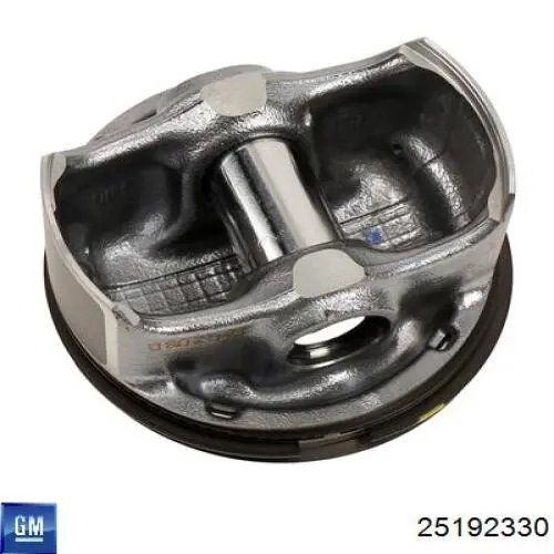 Comprar 623597 Opel Pistón
