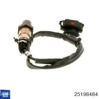 Sonda lambda, sensor de oxígeno después del catalizador derecho General Motors 25198484