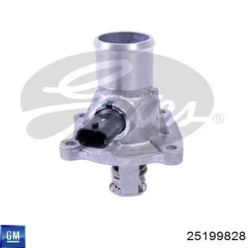 Termostato General Motors 25199828 precio, desde 36,99 EUR