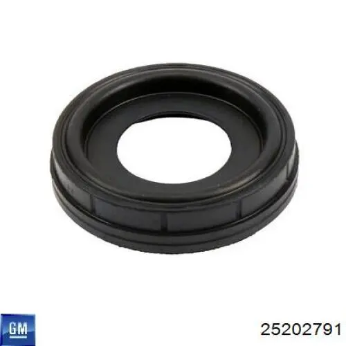 Bobina 25202791 General Motors