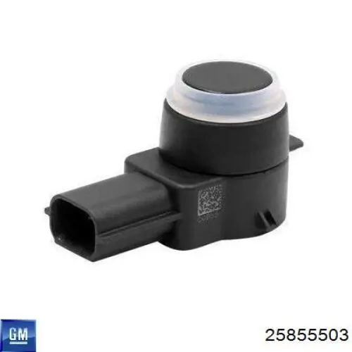 Comprar 25855503 General Motors 