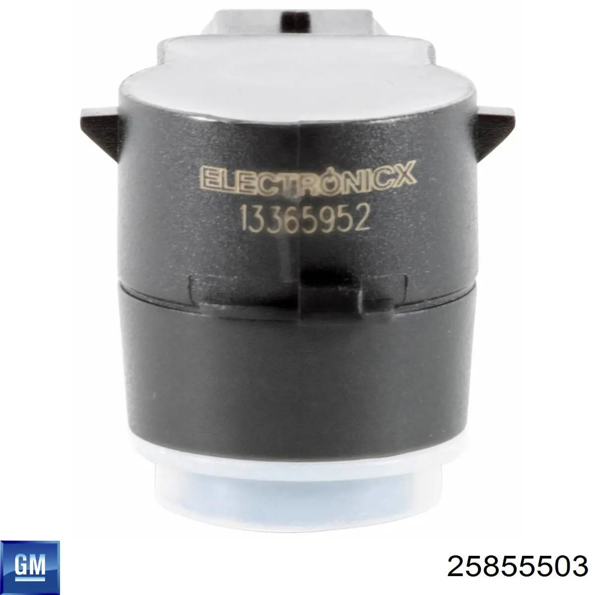  General Motors 25855503 precio, desde 46,46 EUR