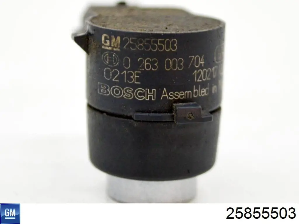 25855503 General Motors 