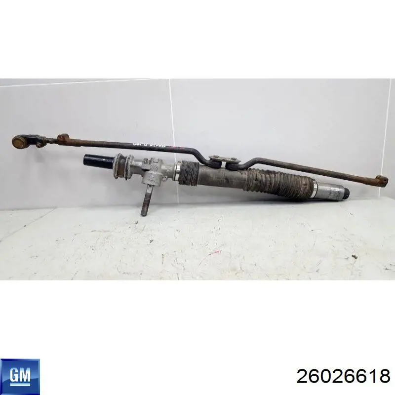 Comprar 26026618 General Motors Cremallera