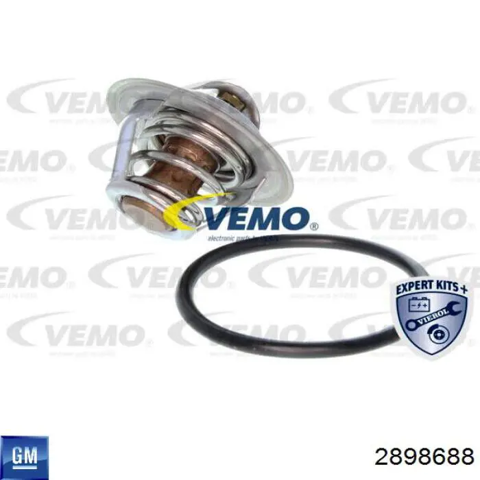 2898688 General Motors termostato