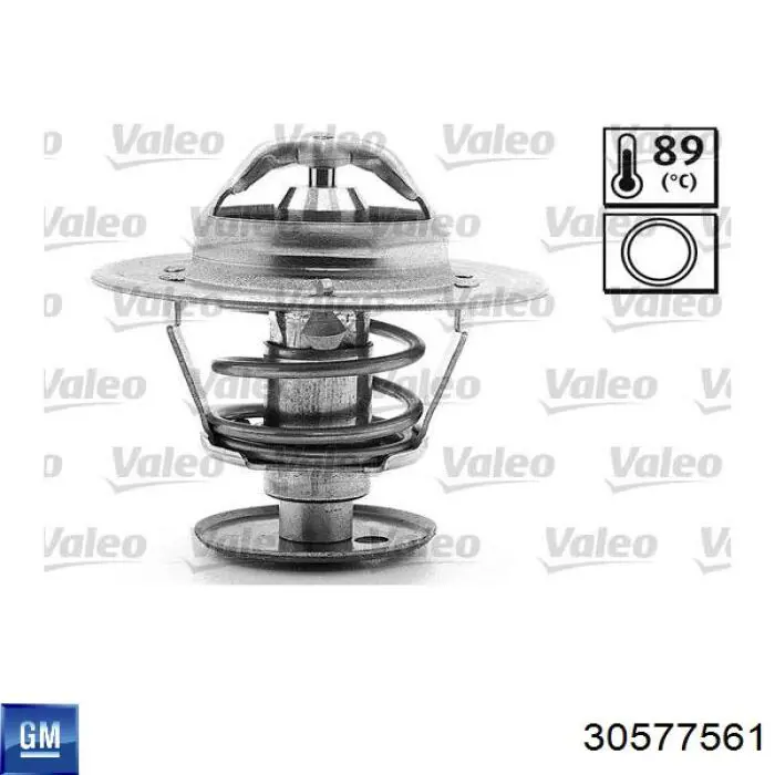 30577561 General Motors Termostato de agua