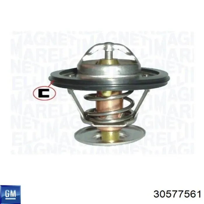 Termostato General Motors 30577561 precio, desde 13,10 EUR