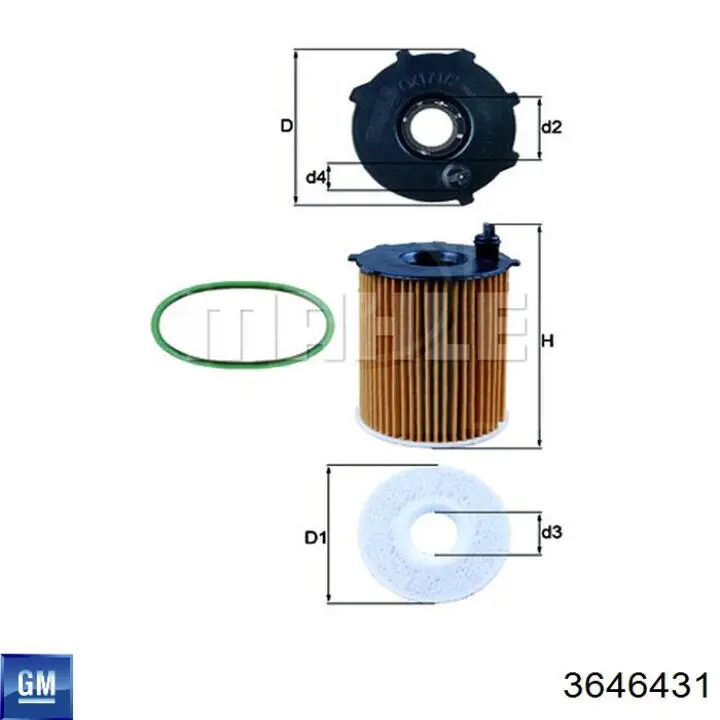 3646431 General Motors Filtro aceite