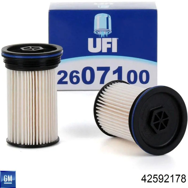 Comprar 42592178 General Motors Filtro diesel