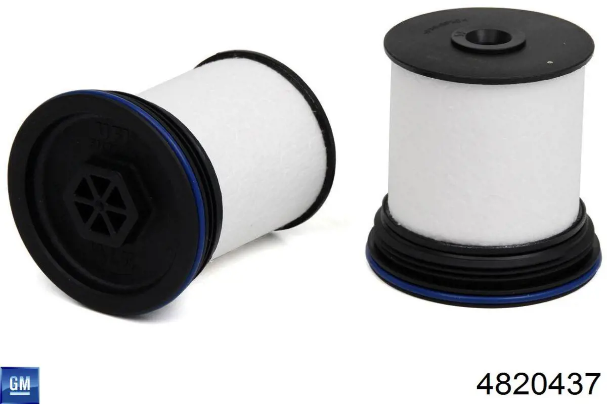 4820437 General Motors Filtro de gasolina