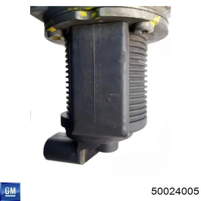 Comprar 50024005 General Motors Válvula EGR