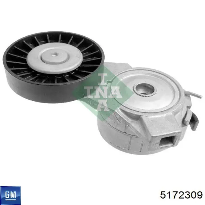 Rodillo tensor correa poli V General Motors 5172309 precio, desde 18,21 EUR