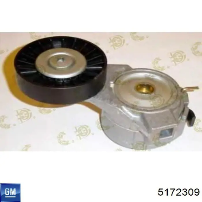 5172309 General Motors Polea tensora