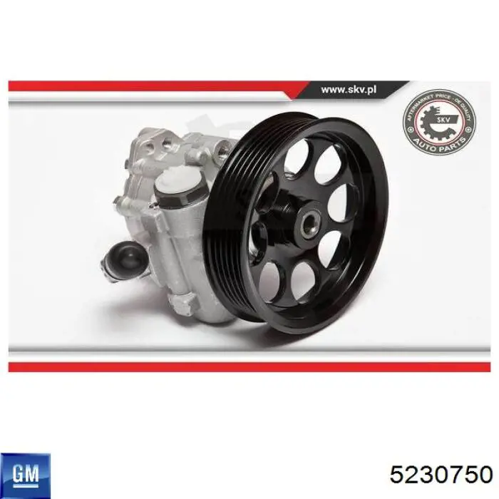 Bomba de dirección 5230750 General Motors