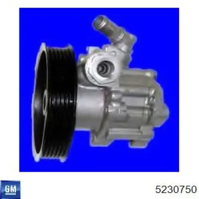 Bomba de dirección hidráulica General Motors 5230750