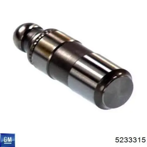 Comprar 5233315 General Motors Taqués hidráulicos