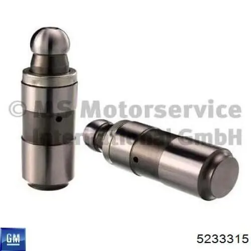 Empujador de válvula Chevrolet Aveo 2 T250, T255