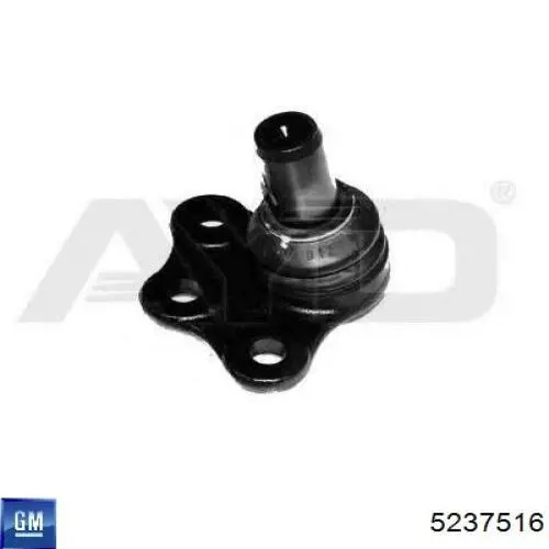 5237516 General Motors Rótula inferior de suspensión