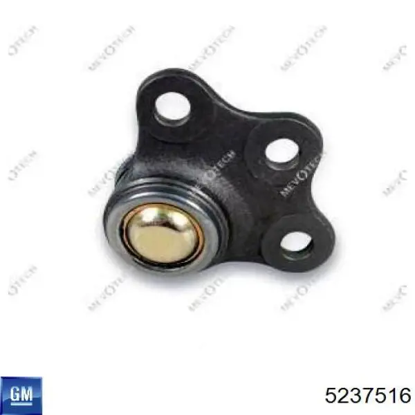 Rótula inferior de suspensión General Motors 5237516 precio, desde 17,54 EUR