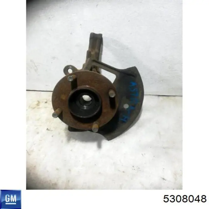 13197809 Opel Mangueta delantera derecha