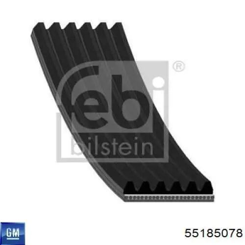 55185078 General Motors Correa poly v