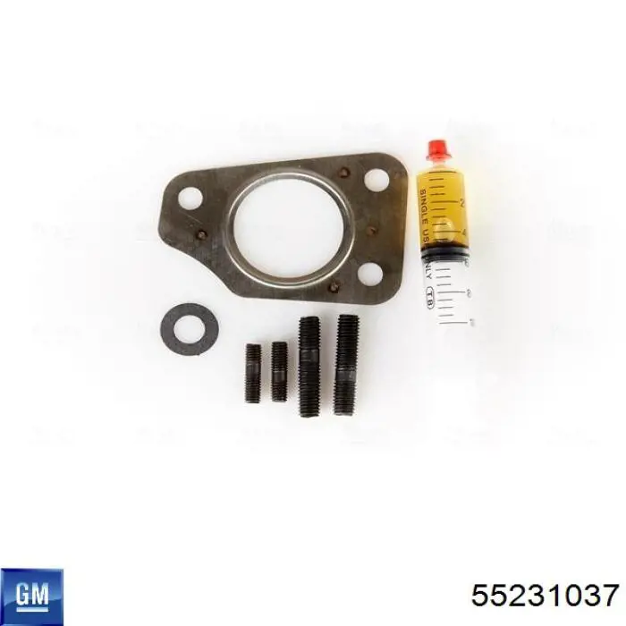 Comprar 55231037 General Motors Turbo de coche