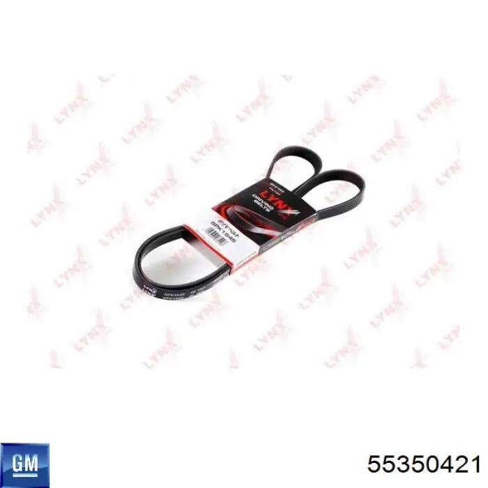 55350421 General Motors Correa poly v