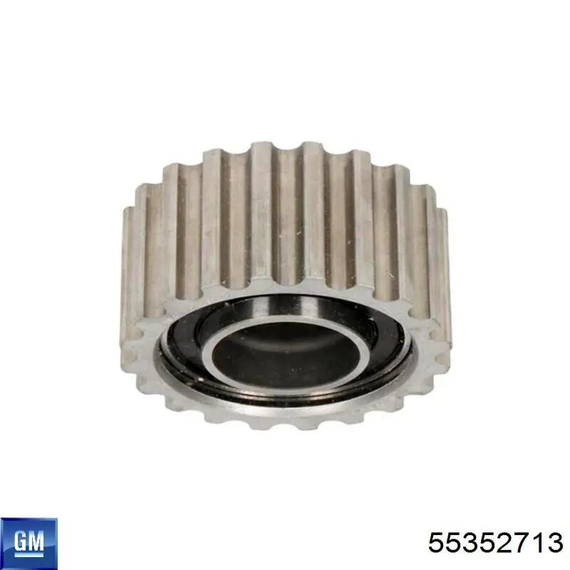 Comprar 55352713 General Motors Polea correa distribución