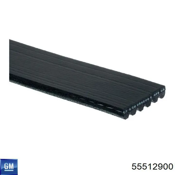 55512900 General Motors Correa poly v