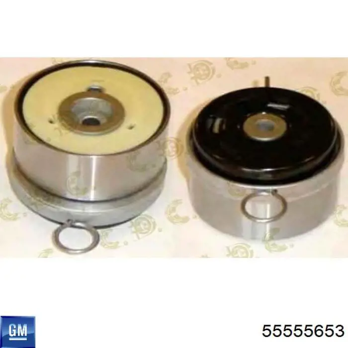 Comprar 55555653 General Motors Tensor correa distribución