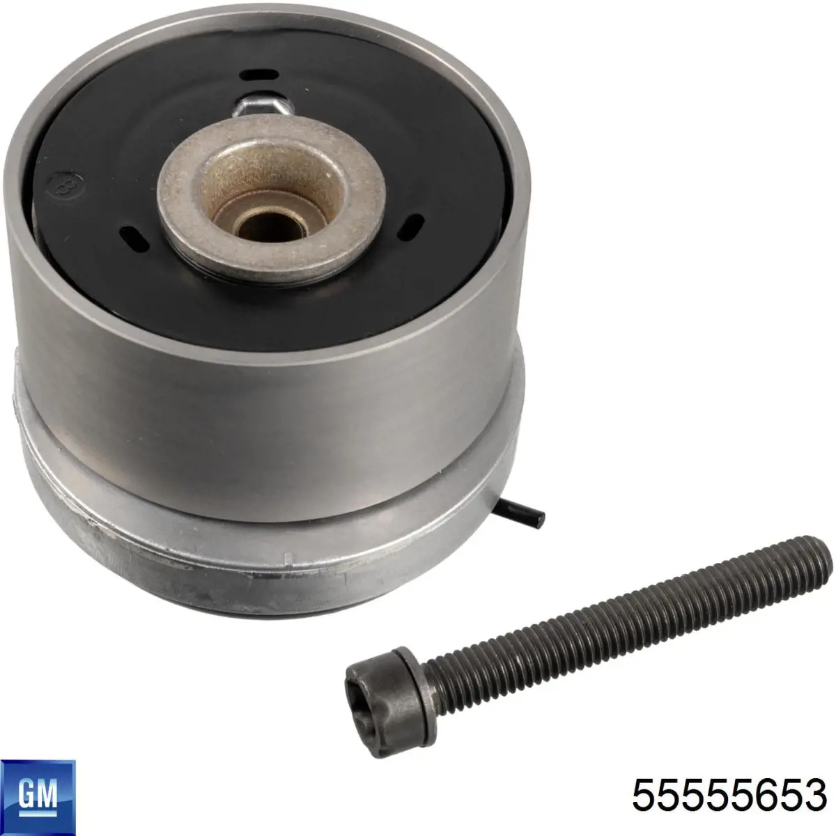 Tensor de la correa de distribución General Motors 55555653 precio, desde 41,55 EUR