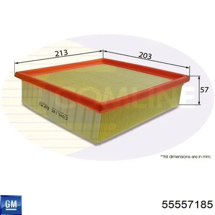 55557185 General Motors caja del filtro de aire