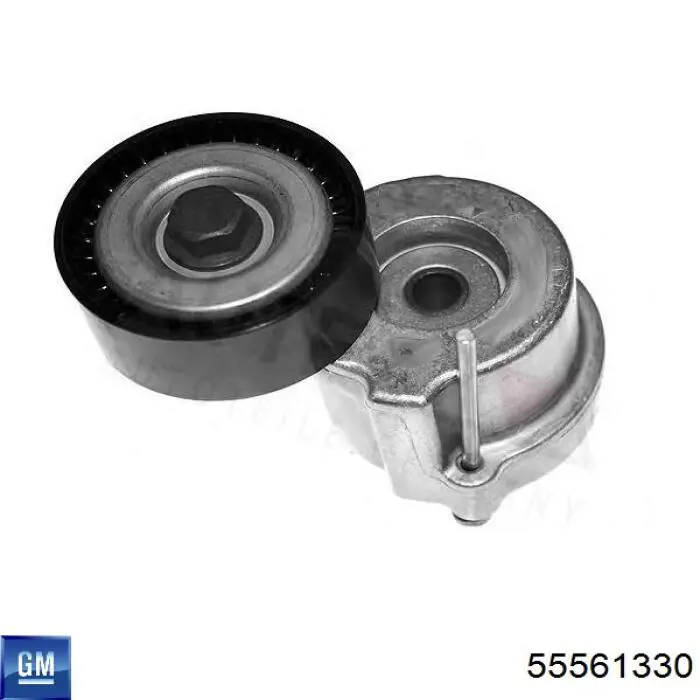 Tensor de la correa trapecial General Motors 55561330 precio, desde 29,71 EUR